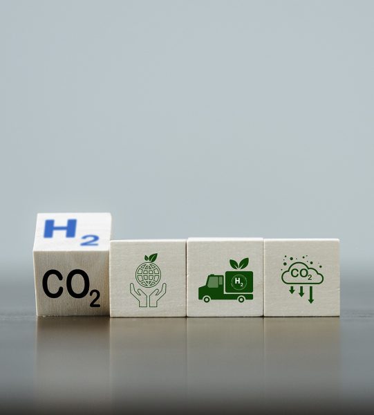 WhatsApp Image 2025-05-16 at 14.44.30