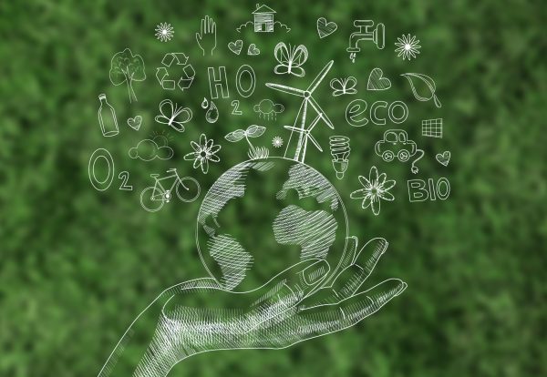 ecran-numerique-avec-journee-de-l-environnement